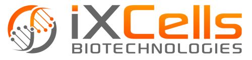 iXCells -logo-color